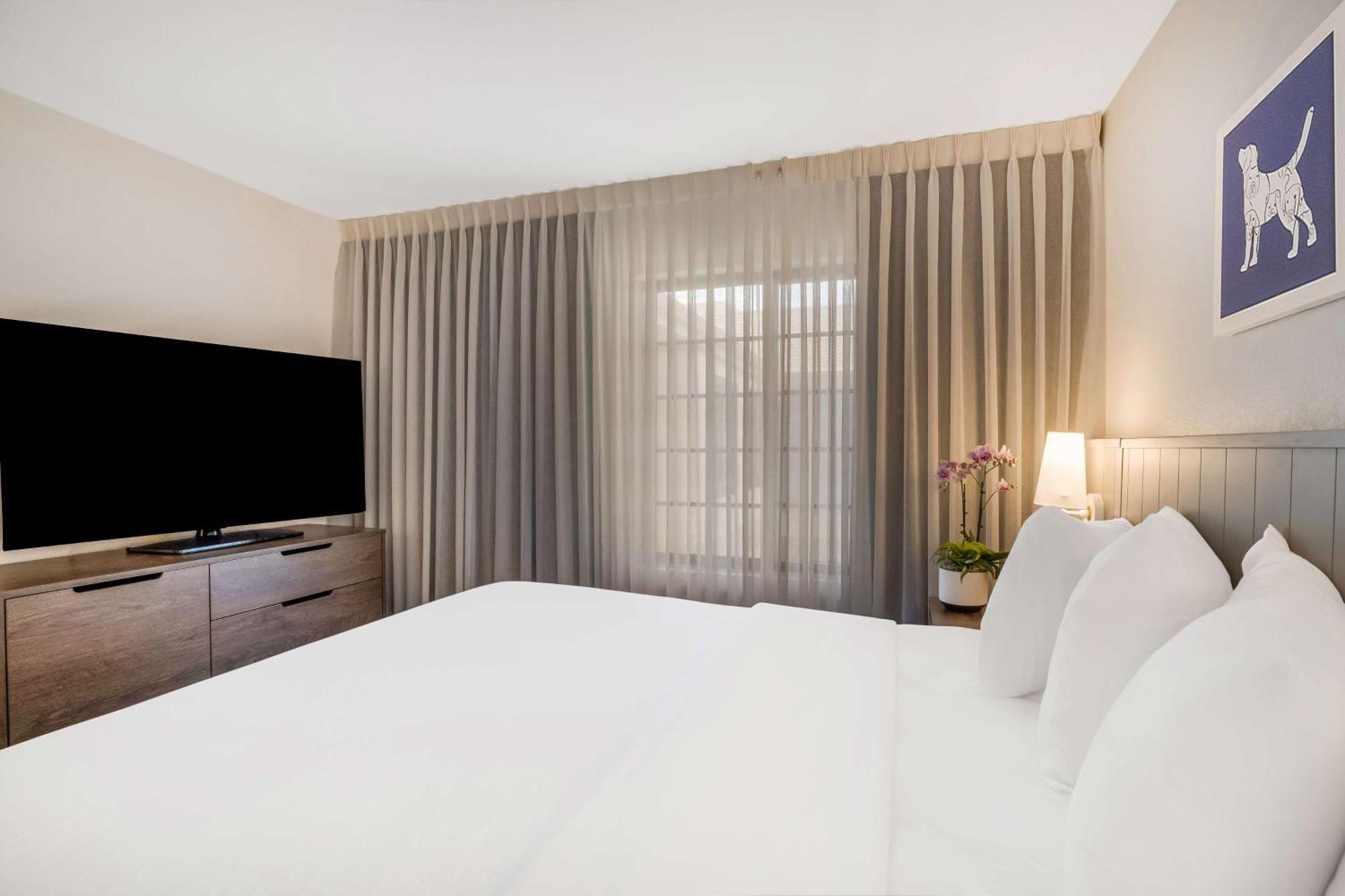Sonesta Es Suites Denver South Park Meadows Lone Tree Exterior photo